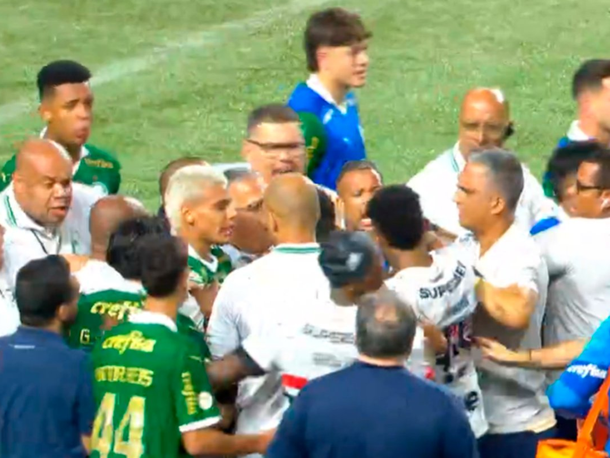 Clássico entre Palmeiras e São Paulo terminou em briga generalizada (Reprodução)