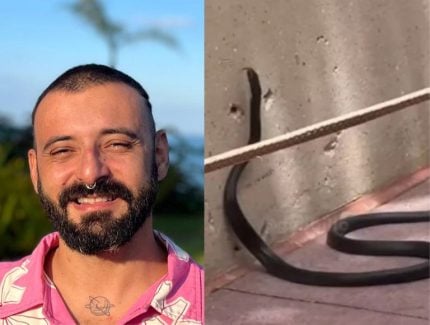 Influenciador brasileiro encontra cobra solta em parque da Disney