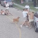 Novas imagens mostram briga envolvendo jogadores do Fortaleza no Ano Novo