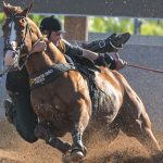 Monte Sião Haras se destaca com Inquestionável e lidera torneio de vaquejada do Brasil