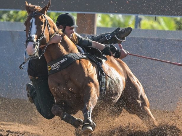 Monte Sião Haras se destaca com Inquestionável e lidera torneio de vaquejada do Brasil