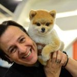 Doguinho apresentador do “Hoje em Dia”, Paçoca, do Celso Zucatelli, morre aos 14 anos