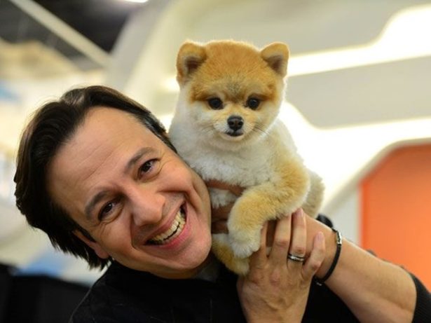 Doguinho apresentador do “Hoje em Dia”, Paçoca, do Celso Zucatelli, morre aos 14 anos