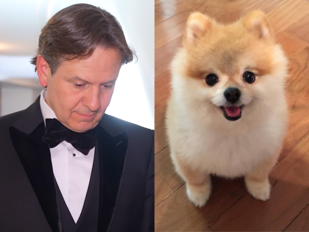 Celso Zucatelli fala sobre a perda de Paçoca e como o cachorro transformou sua vida