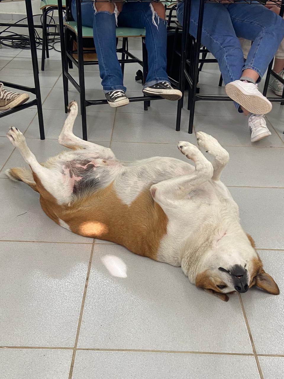 Reprodução/X