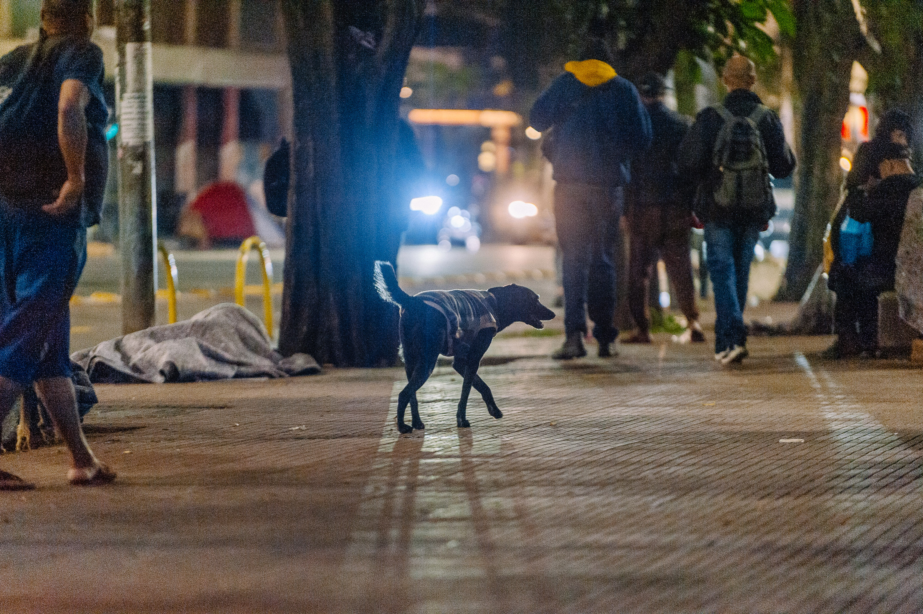 Crédito: Leon Rodrigues - Secom Prefeitura de SP
