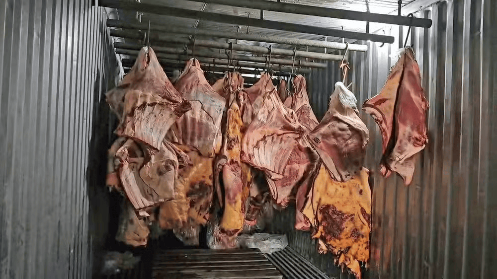 Carne podre revendida por empresa em Três Rios (RJ) / Reprodução: TV Globo