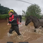 Deputado de SP, Rafael Saraiva ajuda no resgate de 12 cavalos em enchente no RS