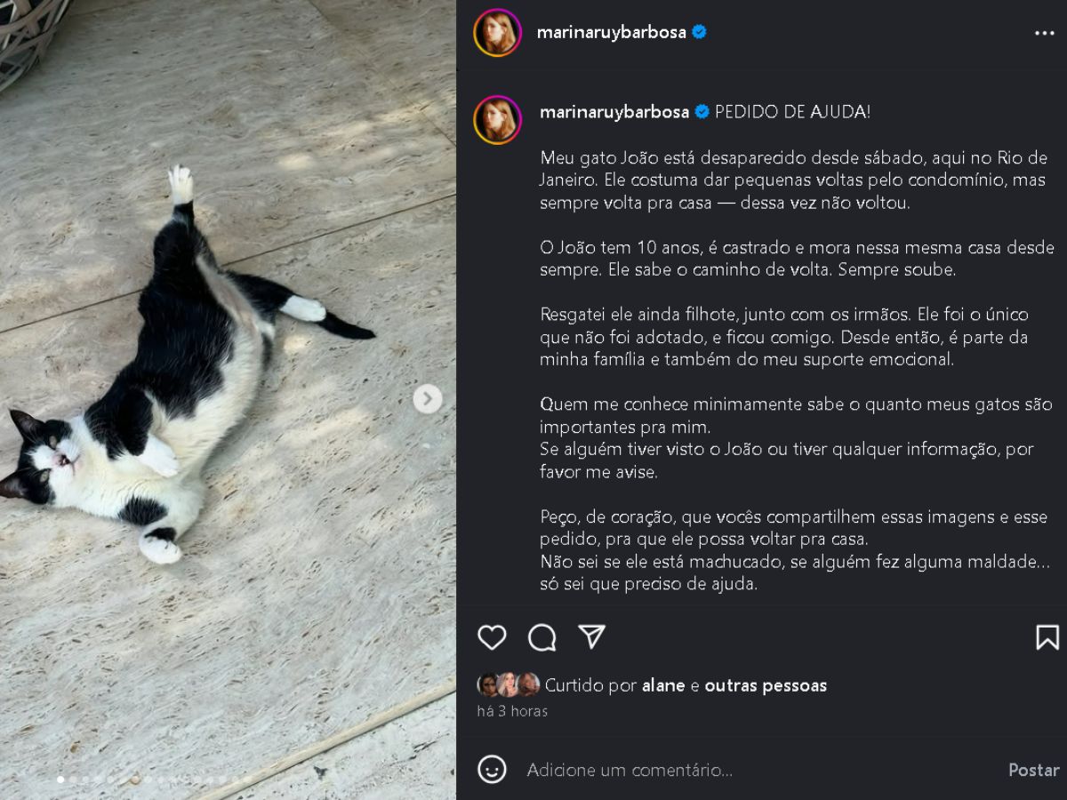 Reprodução: Instagram @marinaruybarbosa Reprodução: Instagram @marinaruybarbosa