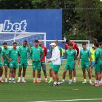 Novorizontino x Palmeiras no Paulistão; saiba onde assistir e prováveis escalações