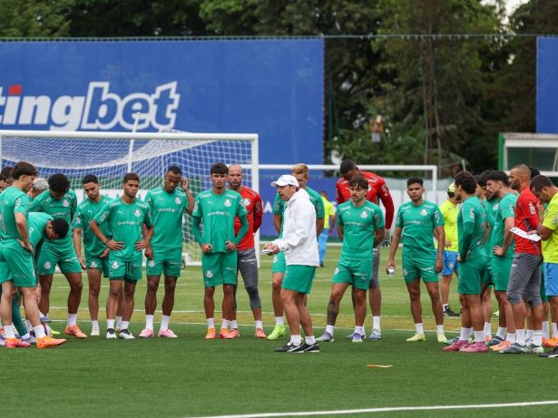 Novorizontino x Palmeiras no Paulistão; saiba onde assistir e prováveis escalações