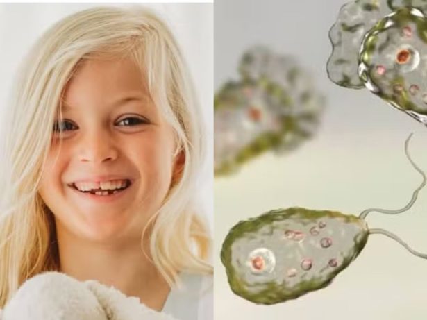 Menina de 8 anos morre após ser infectada por “ameba comedora de cérebro” nos EUA