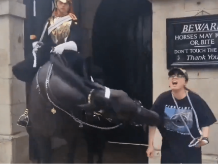 Mulher tenta tirar foto com cavalo da Guarda Real Britânica, é mordida e desmaia