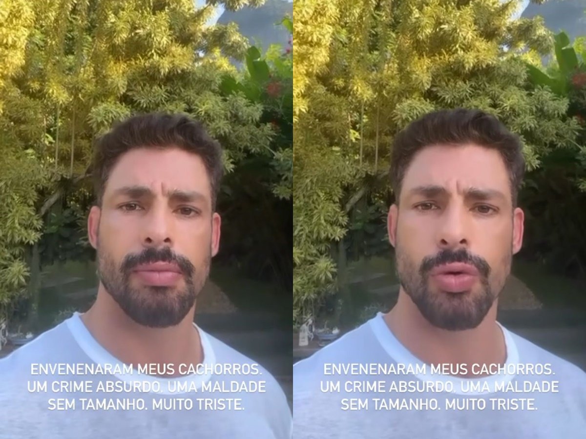 Cauã Reymond informa que seus dois cachorros foram envenenados com chumbinho (Reprodução: Instagram)