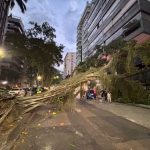 Quase 500 mil clientes seguem sem luz após forte vendaval no RJ; transporte também é atingido