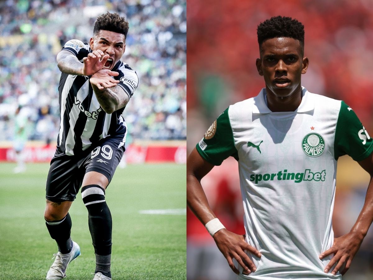 Montagem: Reprodução/botafogo e palmeiras