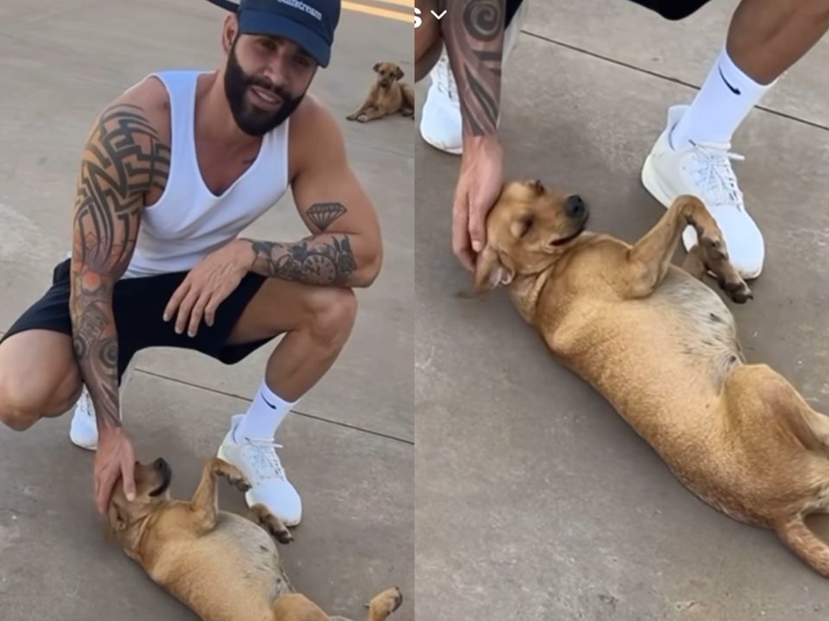 Gusttavo Lima brinca com cachorrinho caramelo que vive em sua propriedade (Reprodução: Instagram)