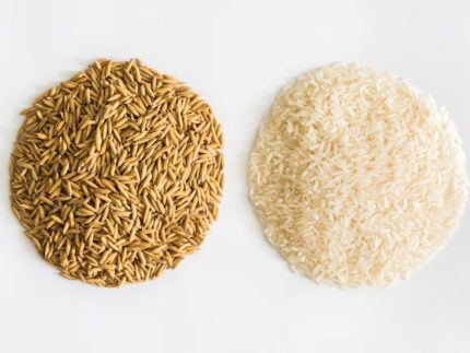 Preciso comer arroz integral se quero emagrecer? Nutricionista responde
