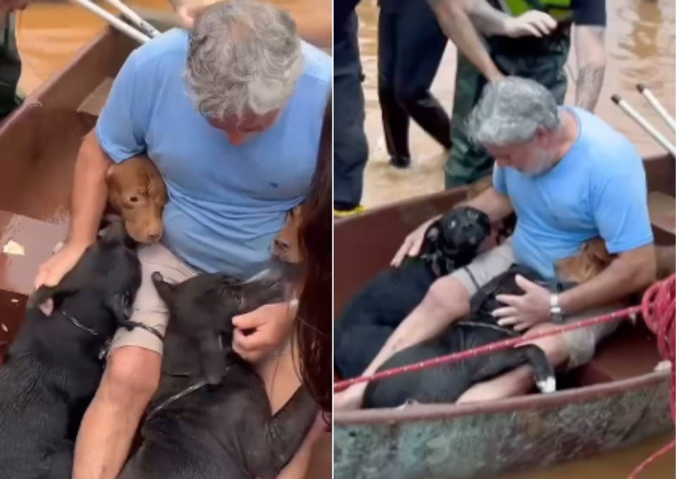 Chuvas no RS: Homem é visto chorando após resgatar seus cães. Veja!
