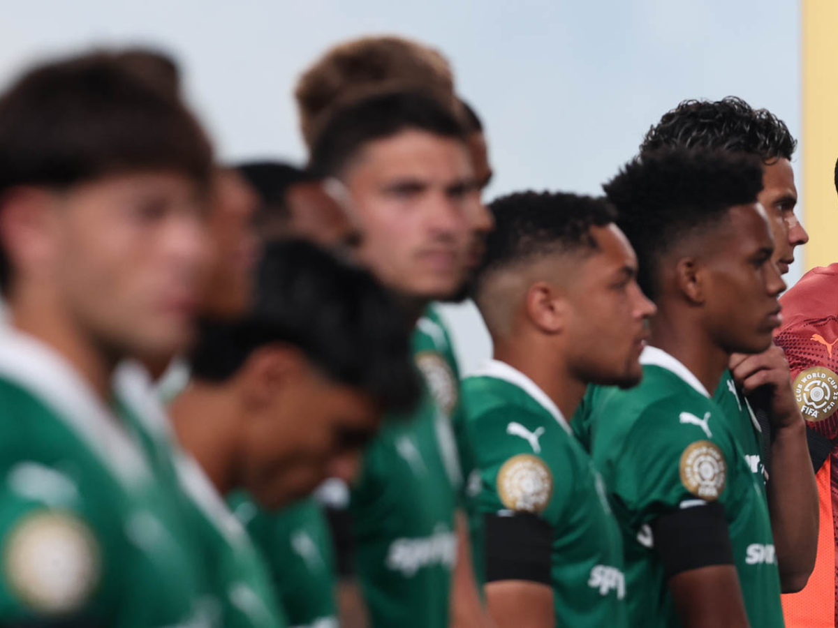 Cesar Greco/Palmeiras