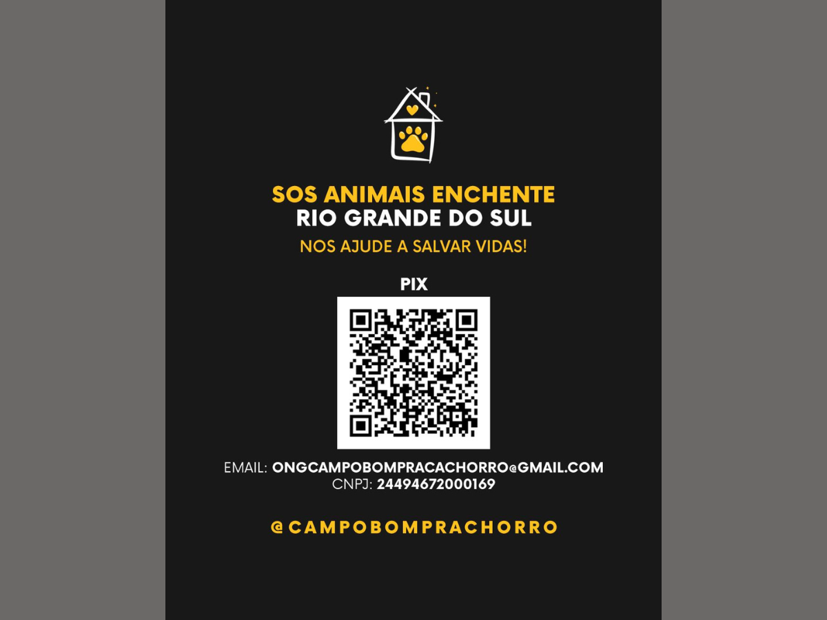 A ONG Bom Pra Cachorro forneceu pix e QR Code para quem quiser contribuir