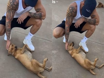 Gusttavo Lima brinca com cachorrinho caramelo que vive em sua propriedade (Reprodução: Instagram)