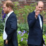 William proíbe retorno de Harry à família real, diz site: “Banimento absoluto”