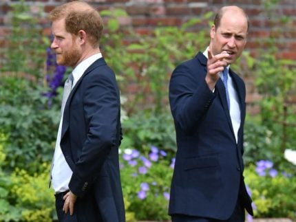 Amigo de príncipe William ridiculariza equipe de príncipe Harry: “Muito estúpidos”