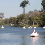 Com lago e parque de dinossauros, Miguel Pereira se torna destino preferido das crianças