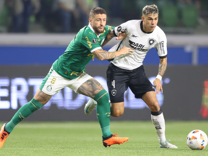 O Botafogo sofreu, mas conseguiu eliminar o Palmeiras nas oitavas de final da LIbertadores (Vitor Silva)