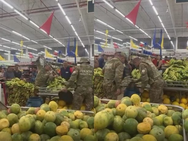Surpresa inusitada: Filhote de cobra coral aparece entre frutas em mercado e é capturado