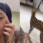 Rapper Oruam é arranhado por gato que comprou por R$ 100 mil e intriga a web. Veja!