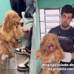 Cachorro é resgatado após anos de abandono na zona leste de SP