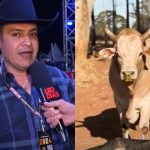 Tércio Miranda ressalta preocupação com bem-estar dos touros em meio a competições