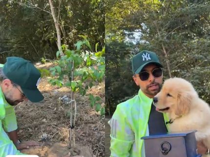 Emocionado, tutor do cão Joca planta árvore com as cinzas dele