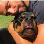 Cauã Reymond anuncia morte de um dos seus cachorros após envenenamento: “Muito triste”