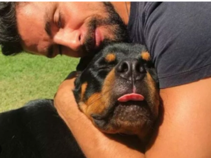 Cauã Reymond anuncia morte de um dos seus cachorros após envenenamento: “Muito triste”
