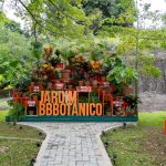 Globo inaugura “Jardim BBBotânico” dedicado às “plantas” das edições do reality show
