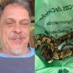 Guilherme Fontes, ator de “A Viagem”, é picado por cobra dentro de casa e faz alerta