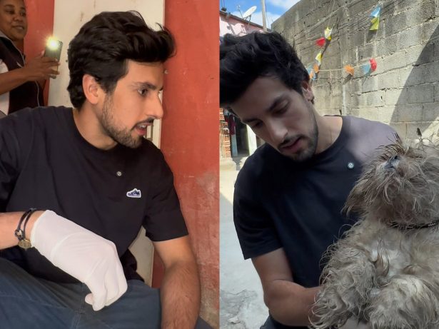 Julinho Casares resgata cachorro vítima de maus-tratos e emociona com recuperação do animal