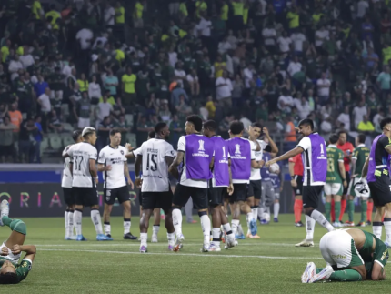 O Botafogo sofreu, mas conseguiu eliminar o Palmeiras nas oitavas de final da LIbertadores (Getty Images)