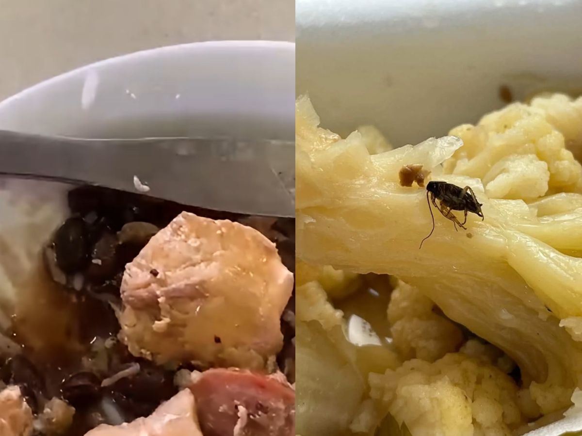 Larvas, parafusos e mais: alunos da UFRJ denunciam qualidade da comida nos bandejões 1 8W2rcmDV Tamanho portal 4