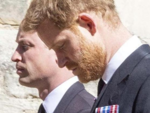 Martelo batido: príncipe Harry não se encontrará com William em visita ao Reino Unido