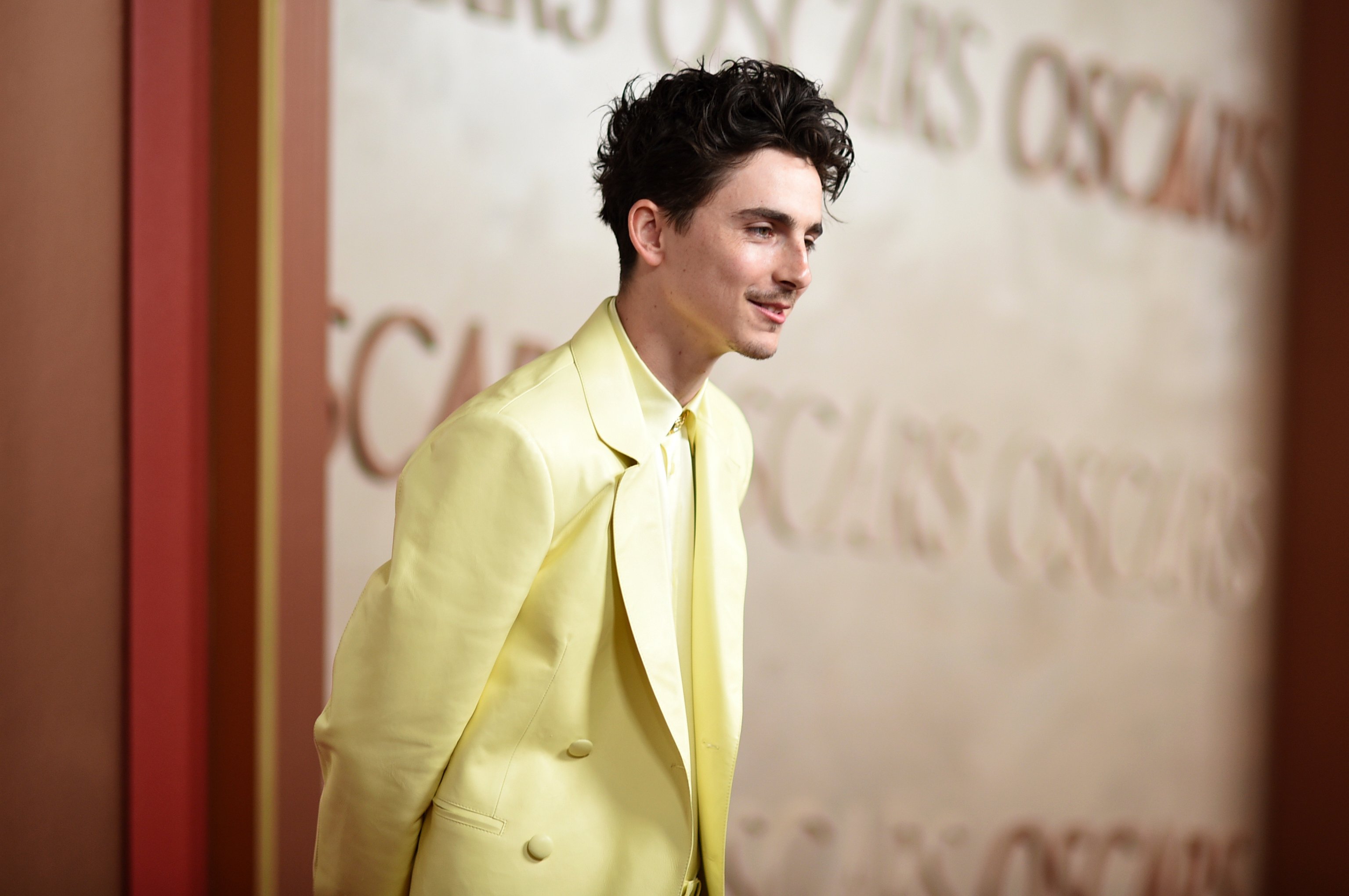 Timothee Chalamet (Richard Shotwell/Invision/AP)