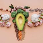 Endometriose e alimentação: o que a ciência diz e o que as dietas da internet ignoram