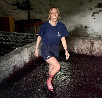 Globo pode tirar ainda mais proveito do confronto direto Record-SBT 3 Ana Furtado
