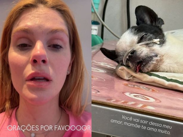 Bárbara Evans relata momento assustador ao ver cachorro tendo convulsões