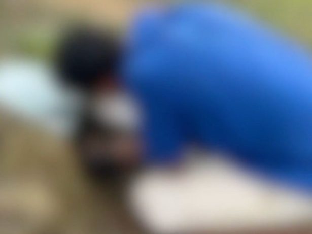 Recém-nascida é deixada na mata e encontrada perto de formigueiro no ES