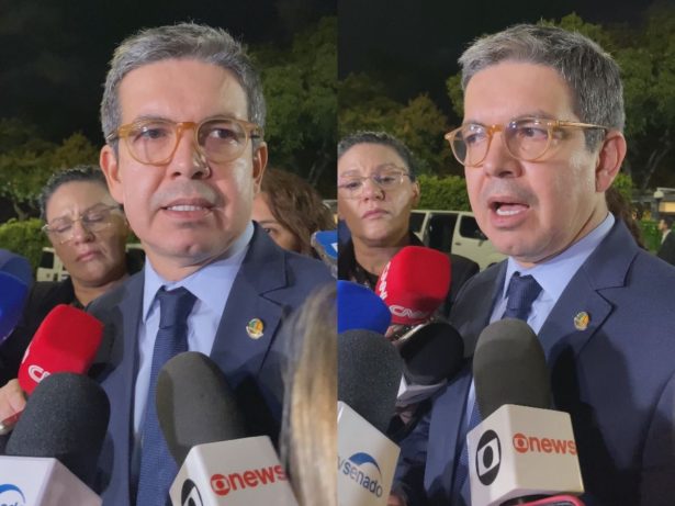 Randolfe Rodrigues diz que Senado voltará a funcionar remotamente ainda esta semana