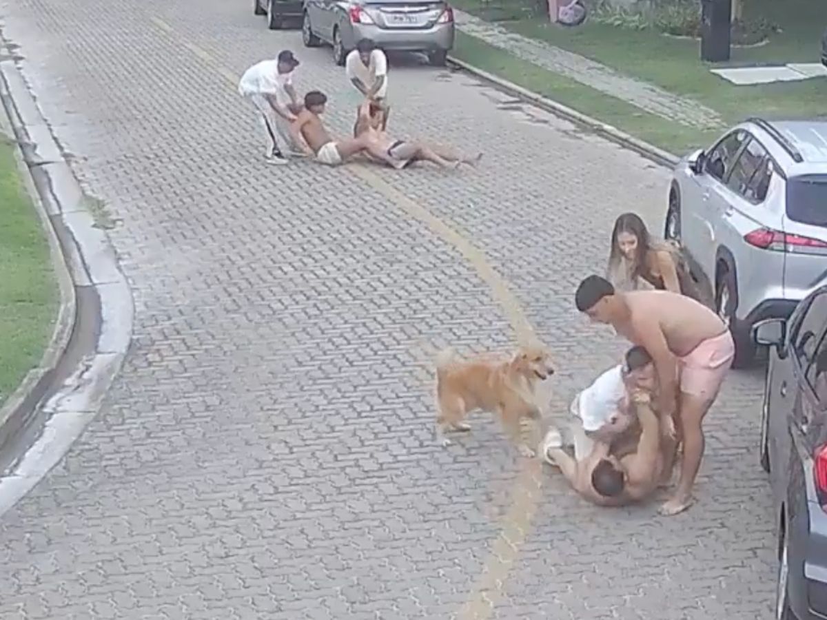 Reprodução / X Reprodução / X